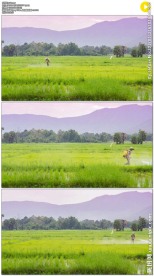 农民忙碌喷洒农药