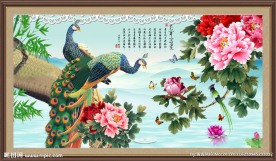 百鸟朝凰