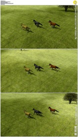 三只马奔腾赛跑