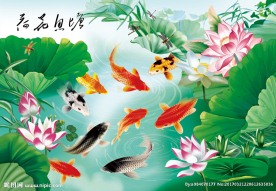 九鱼图 荷花 鲤鱼