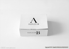 空白包装盒样机