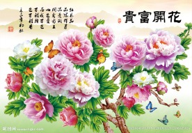 花开富贵 牡丹花