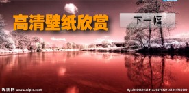 交互动画