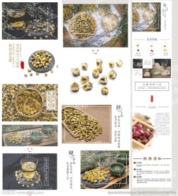 胎菊小菊花茶淘宝详情页