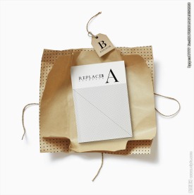 包装书籍展示样机