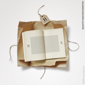 包装书籍展示样机