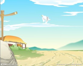 鸽子在天空飞舞20秒flash