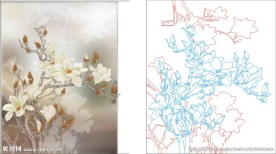 千娇百媚白玉兰