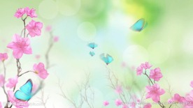 唯美蝴蝶飞舞LED背景视频