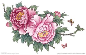 洛阳牡丹  图层分层