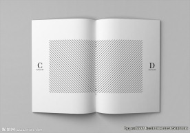 画册内页样机