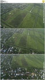 航拍乔治敦田野建筑