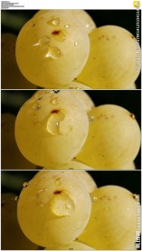 晶莹剔透的葡萄