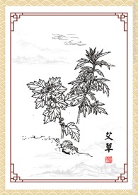 艾草 矢量