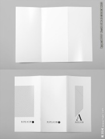 三折页展示样机