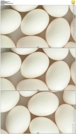 旋转的白色鸡蛋