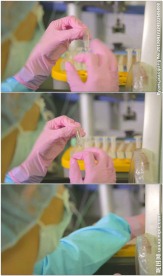 医疗科研人员工作