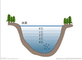 物理科普温度的变化10秒动画