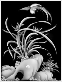 兰花花鸟灰度图