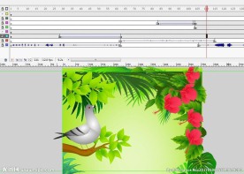 鸽子飞到花丛中15秒