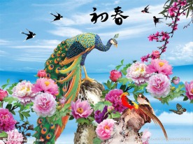 花开富贵