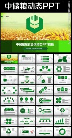 中国储备粮管理总公司中储粮