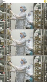 两名生物学家工作