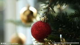 圣诞节视频素材 圣诞树