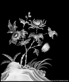 菊花精雕灰度图