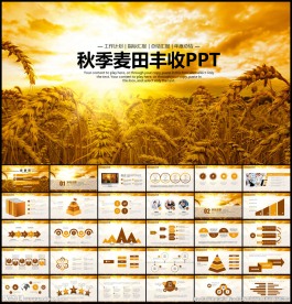 农业丰收总结PPT