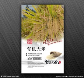 大米海报