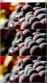 晶莹剔透的葡萄