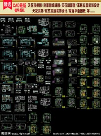 别墅装饰天花设计CAD图纸