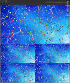卡通 节日喜庆 漫画 飘带