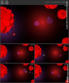 婚礼片头 喜庆 婚庆桃心 春节