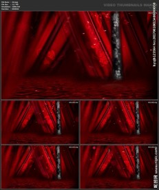 婚礼片头 喜庆 婚庆桃心 春节