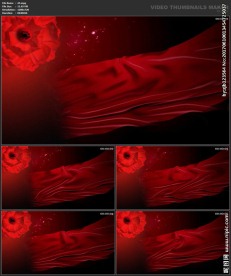 婚礼片头 喜庆 婚庆桃心 春节