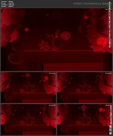 婚礼片头 喜庆 婚庆桃心 春节