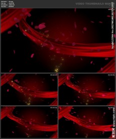 婚礼片头 喜庆 婚庆桃心 春节