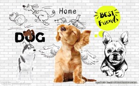 宠物狗狗装饰画背景墙