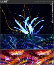 仙境梦幻 唯美浪漫 婚礼背景