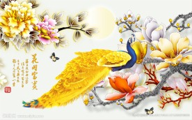玉兰花