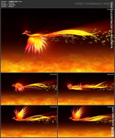 浪漫粒子 光晕 唯美粒子