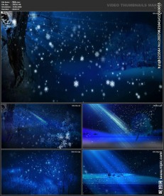 浪漫背景 婚礼婚庆 蓝色唯美