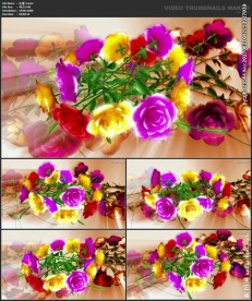 浪漫背景 婚礼婚庆 喜庆玫瑰花