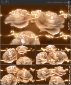 浪漫背景 婚礼婚庆 喜庆节日