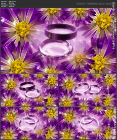 浪漫背景 婚礼婚庆 喜庆节日