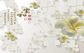 家和富贵3D北欧现代电视背景墙