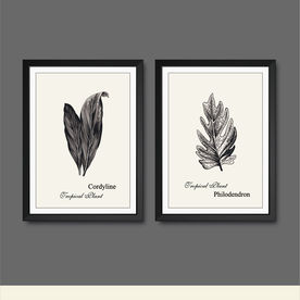 简约热带植物手绘 无框画