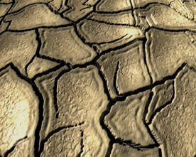 土地干涸